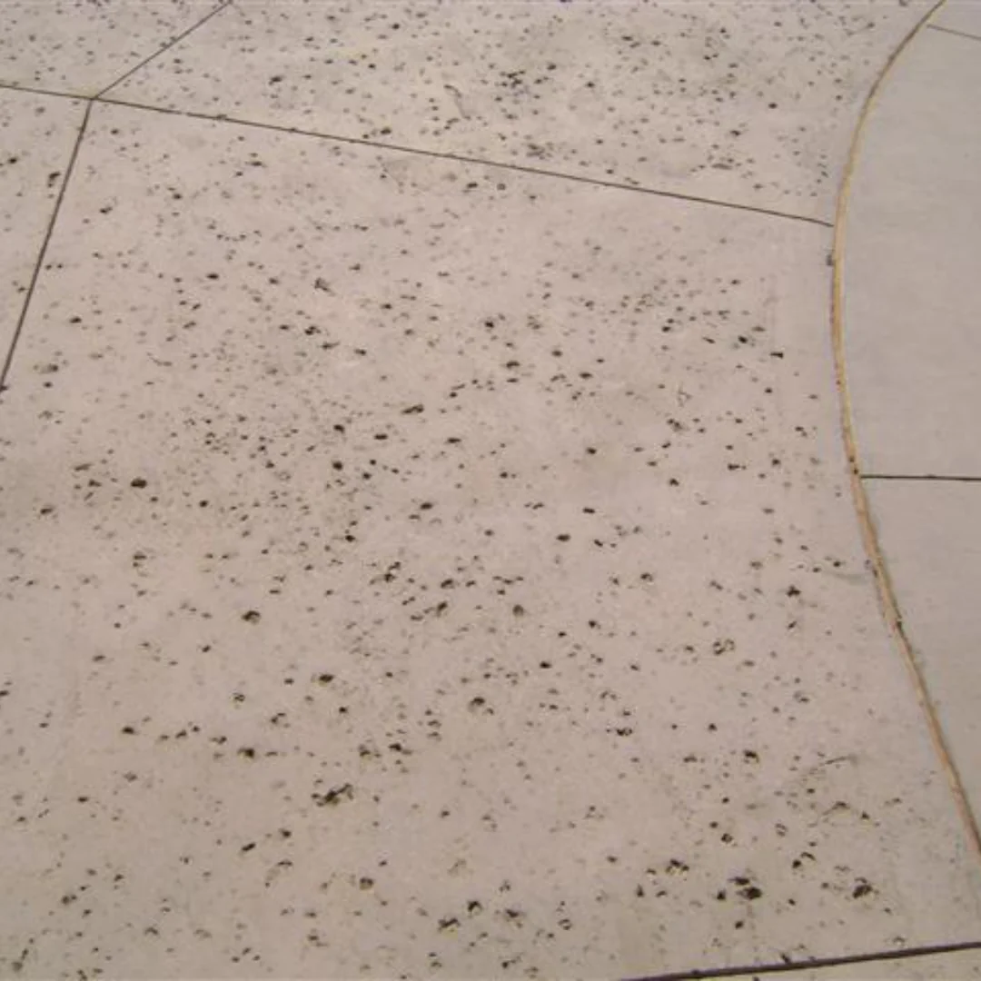 Shellcrete-3-1